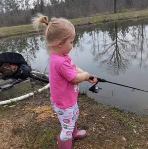 Meet your Posher, Connie